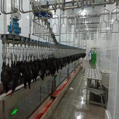 China 3400KG Halal pluimvee Slachthuis apparatuur kalkoen eend broiler kip verwerking Te koop