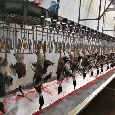 China Kippen gans kalkoen eend slachtmachine 1000BPH pluimvee verwerkingsmachine Te koop