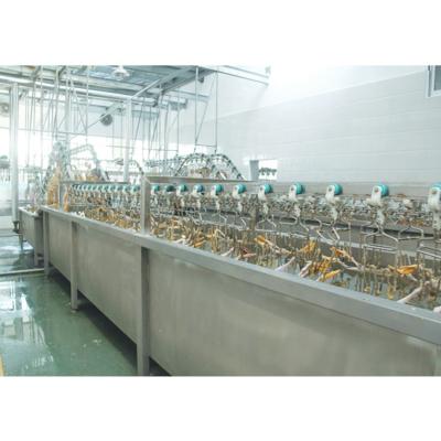 China 3000BPH Eendenslachtmachine 380V / 220V Vleesverwerkingsapparatuur Te koop