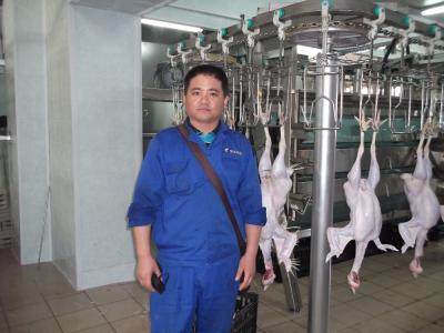 Chine New Arrival Automatic 2000BPH Poultry Chicken Slaughtering Machine Line à vendre