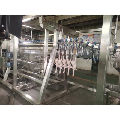 Κίνα 200BPH 300BPH 500BPH Automatic Kill Cutting Goose Duck Chicken Abattoir Slaughtering Processing Line Machine System προς πώληση