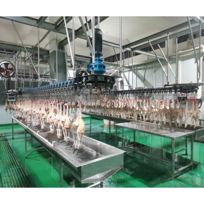 China 300 Chickens / H Poultry Farming Equipment Scalding Plucking Slaughtering Machine for sale