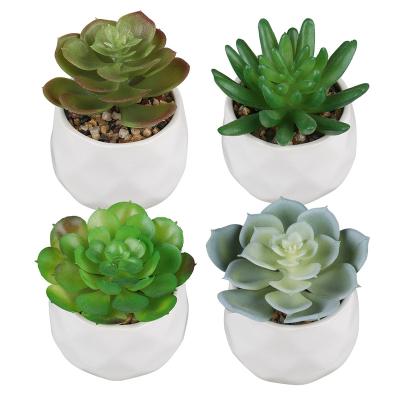 China Modern Artificial Succulent Plants in White Ceramic Faux Mini Potted Succulents Plants in Pots for Office Living Room Home Decor for sale