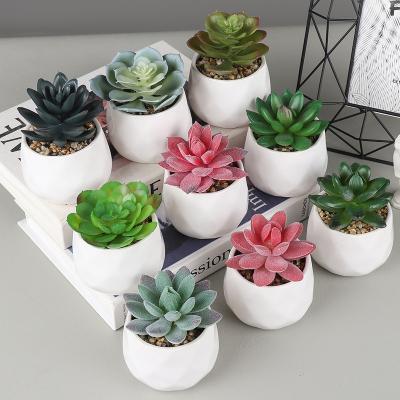 China Modern Artificial Succulents, Indoor Fake Plants in Round White Geometric Ceramic Pots for Office Living Room Bedroom Decor for sale