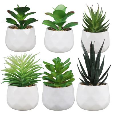 China Modern Artificial Succulents in Round White Geometric Ceramic Pots Rig Small Potted Plants for Office Bedroom Home Office Decoration for sale