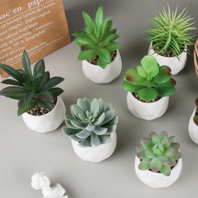 China Modern Artificial Succulent Plants In Ceramic Pots Assorted Fake Succulents For Window Sills Bathrooms Desks for sale