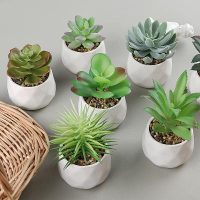 China Modern Artificial Succulent Plants In Ceramic Pots Small Succulent Plants For Window Sills Bathrooms Offices for sale