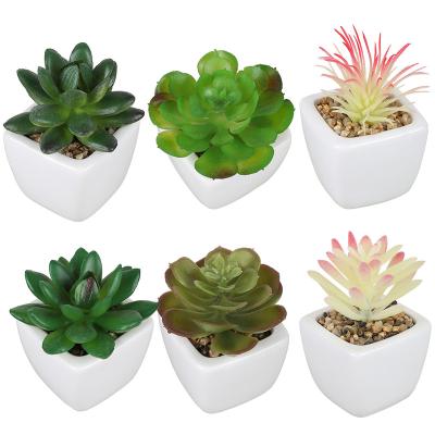 China Modern Faux Succulent Plants Artificial Succulents in Ceramic Planter Pots for Home and Office Decoration for sale