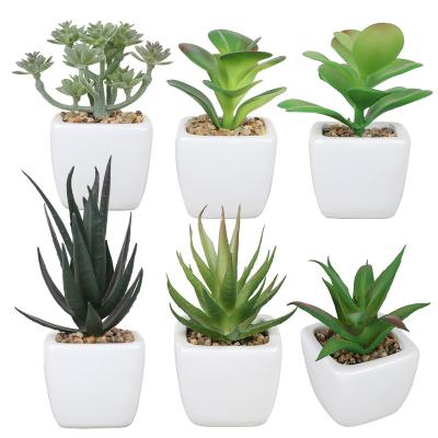 China Mini Fake Succulent Plants Artificial Modern Plastic Potted Fake Succulents Assorted Plants For Home Office Table Decoration for sale