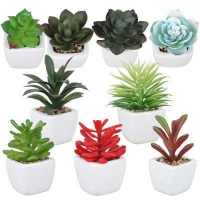 China Small Modern Matching Artificial Succulent Plants Potted Faux Succulent In White Ceramic Pots For Party Favor Table Decor for sale