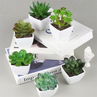 China White Mini Fake Succulents Greenery Plant Pots Modern Artificial Succulents Potted Plants for Home Office Party School Decoration for sale