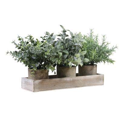 China Natural Faux Rosemary Plants Touch Set of 3 Mini Potted Plastic Artificial Eucalyptus With Wooden Planter Box For Office Home Decor for sale