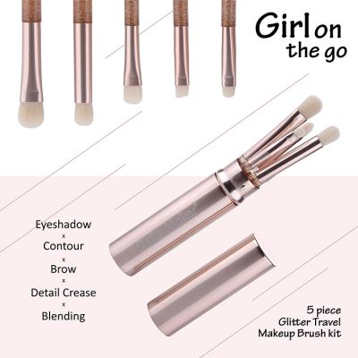 China Best Selling Spot Brush 5 Pcs Glitter Makeup Brush Suit Eyeshadow Cutout Brow Detail Crease Travel Makeup Brush Blending Kit for sale