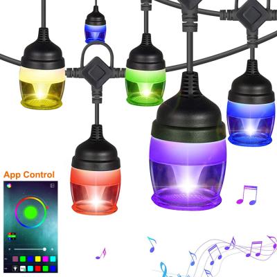 China Led Colors Beat Sync To Music App Remote Control Connectable Outdoor Decorative Garden Patio LED String Light 110V 220V for sale