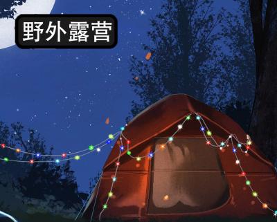 China APP Control Built-in RGB LED Music Microphone BLE High-sensitivity Smart Outdoor Camping Tent Lights USB Powered Outdoor LED Fairy Lights Christmas String Lights for sale