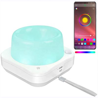 China 100lm Dimmable RGB LED Night Light BLE Music Rechargeable APP Control RGB LED Smart Portable PIR Motion Sensor Camping Light for sale