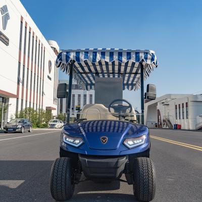 China LEROAD Latest Electric Selling Car Shuttle2 High Efficiency Utility Vehicle 2 Seats Utility Cart 18*8.5-8 for sale