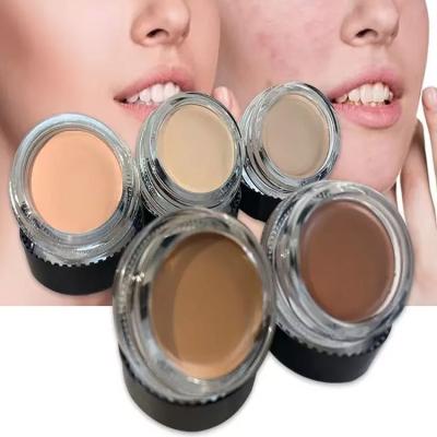 China Hot Selling Full Coverage Dark Eye Dark Skin HD Vegan Brand Seller Private Label Moisturizer Concealer Waterproof Concealer Pencil for sale