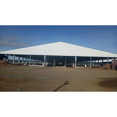 China Wholesale High Quality Frame Part Durable Using Low Price Steel Structure Cow Farm for sale