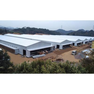 China Frame Part Sell Well New Type Factory Sale Various Steel Structure Prefab Chicken House for sale