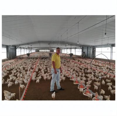 China Poultry House Prefab Steel Structure Chicken Broiler House Poultry Farm Shed Building for sale