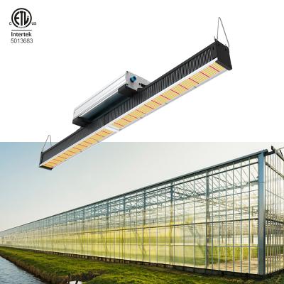 China Seed Starting 630W H4 Led Grow Light Indoor Linear Light 3500K 4000K Full Spectrum For Easy Installation for sale