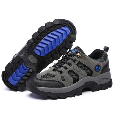 China High Quality New Arrival Fashion Trend Men's Low Top Sneaker Outdoor Rise Shoes Rising Shoes Men's Outdoor Rise Shoes for sale