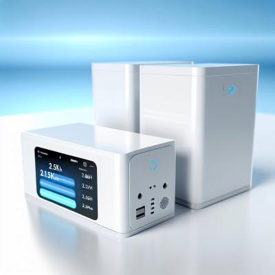 China Smart Household Energy Storage Battery with WiFi Connection and 2.56KWh Capacity en venta