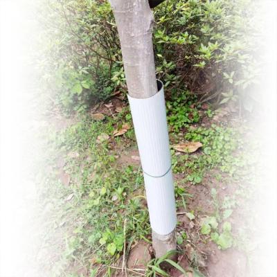 China Protect Tree Shaft Plastic Guards for sale