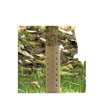 China New Design Durable For Tree Protector Tree Protector Indoor Garden Plastic Guard Or Outdoor for sale