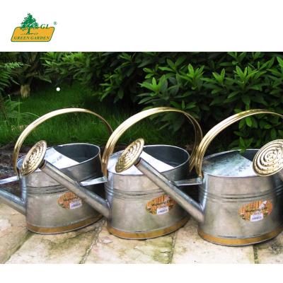 China Carrrying Handle Gardening Tools Water Can Long Shrink Spout Watering Can Galvanized Plant Watering Can for sale