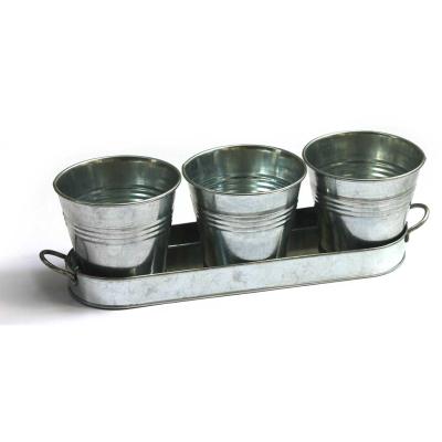 China Light Cheap Price Simple Style For Home And Garden Galvanized Mini Planter Set 28.5 x 9.5 x 8cm for sale