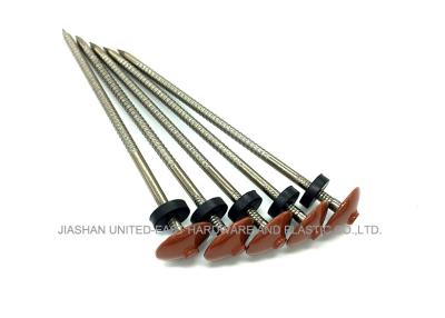 China Needle Point Stainless Steel Nails Ring Shank Roofing Nails Umbrella Head for sale