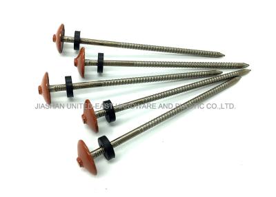 China Painted Roofing Nails 304 Stainless Steel Nails Ring Shank Nails Diamond Point for sale