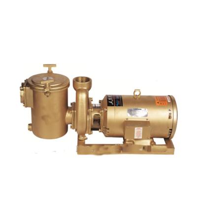 China Copper Controller Sand Filter Circulation Swimming Pool Water Pump Electric Motor for sale