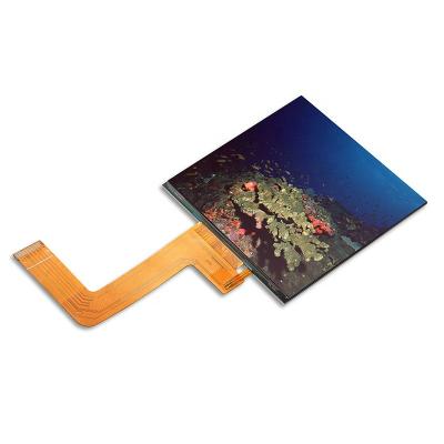 China 3.95 Inch LCD Square Show Pixel 480*480 IPS TFT LCD Panel 40 PIN RGB Interface LCD Module For Smart Home Appliance 3, 95 inches for sale