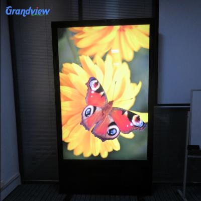 China Aluminum+stainless steel+ tempered glass double sided acrylic estate window display light box for sale