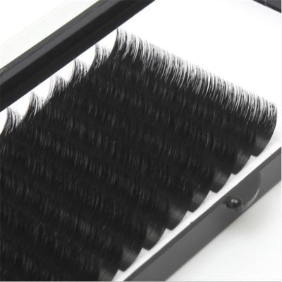 China Deeply Create Your Own Brand Eyelash Extension Wholesale J Since C D cc Dual Density Whips Lashextensions for sale