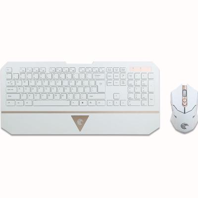 China Anti-Drop Normal Wireless Slim Wireless Keyboard and Mouse Combo Set for PC Computer Laptop for sale