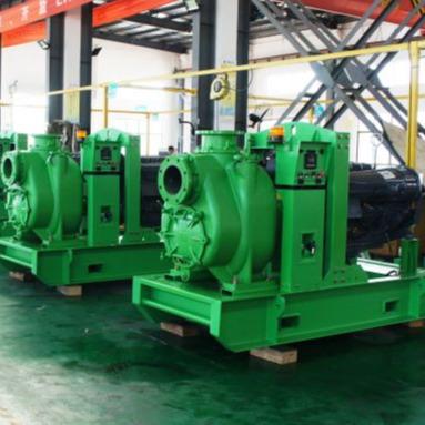 China Commercial Buildings CUSTOM 12 Inch Diesel Engine Water Pump For Irrigation for sale