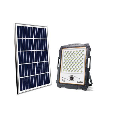 China SUNWELL 100w Heavy Duty Led Garden Flood Light With Solar Cctv Camera Sport Light for sale