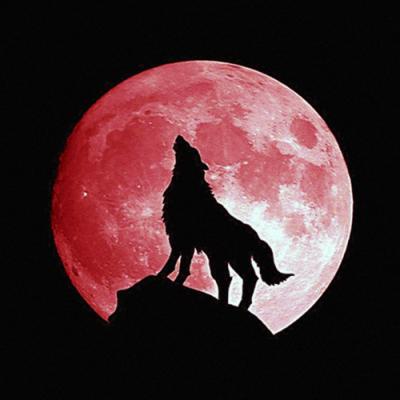 China DIY Modern Moon Wolf Diamond Painting for Gift and Home Decor with Full Round Acrylic Diamonds Covered on Oil Canvas Size 30x30cm for sale