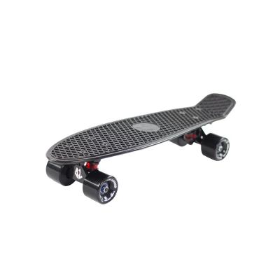 China Wholesale PP Adult Skateboard 22 Inch Fish Plastic Board With 60mm*45mm Wheels for sale