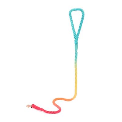 China 2022 Hot Selling Colorful Cotton Rope Dog Leash Thoughtful Handmade Pet Leashes Customized for sale