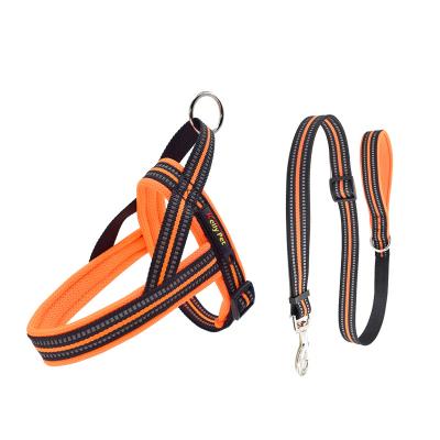 China 2022 Hot Sale Thoughtful Adjustable Dog Harness And Leash Set for sale