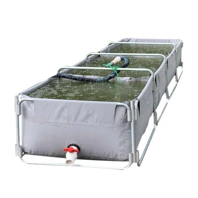 China Poly Aquaculture China Factory Agriculture Fish Tank Plastic Steel Indoor Plastic Tank Aquaculture Fish Farming for sale