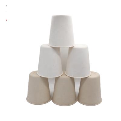 China Biodegradable disposable coffee cups with lid bagasse cup supplier for sale