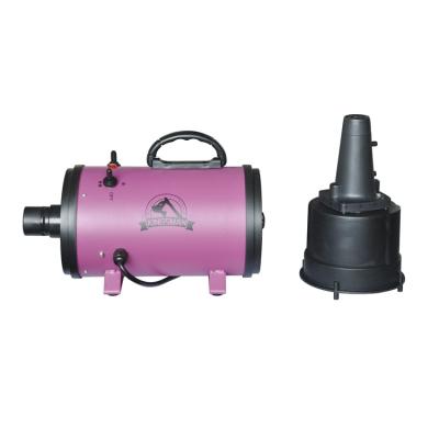 China Good Quality Small Variety Animals Speed ​​Adjustable Pet Strength Blower Hair Dryer Machine for sale