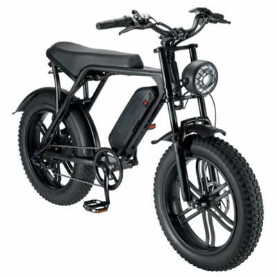 China Hot Sale Aluminum Alloy US EU Warehouse ODM Electric Fat Bike CE 750W 48V Mountain Bike 12AH Powerful Electric Bike 20inch for sale