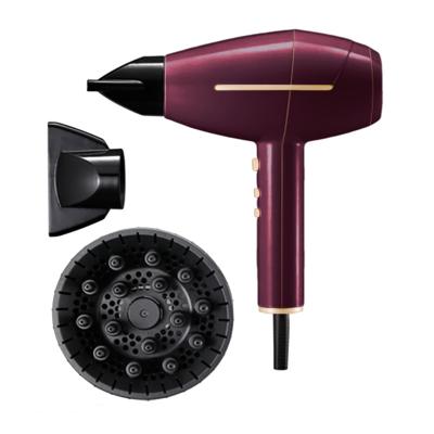 China Factory Price 2000-2400W AC Motor Ionic Hair Dryer with 2 Rocker Control Speed ​​and Temperature à venda